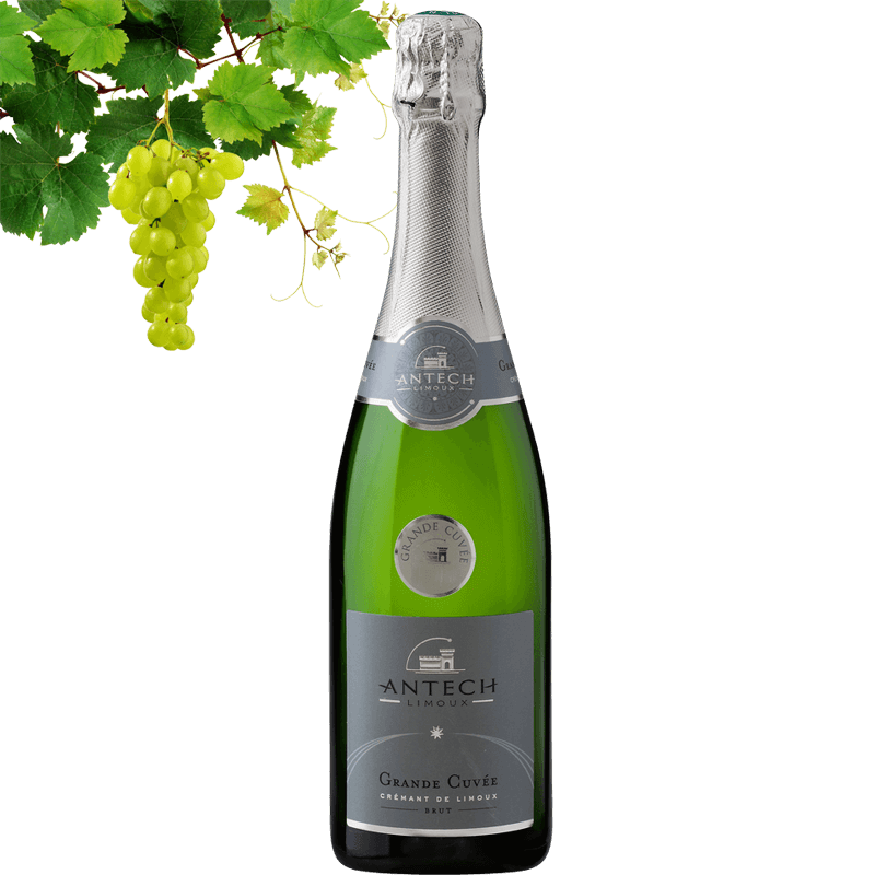 Antech Grand Cuvee Brut