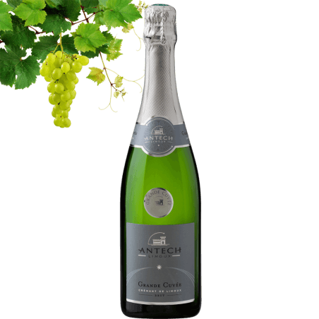 Antech Grand Cuvee Brut