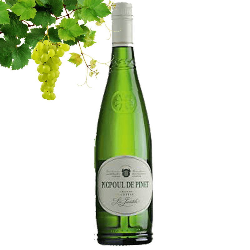 Les Jeantels Picpoul de Pinet