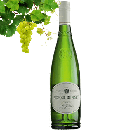 Les Jeantels Picpoul de Pinet