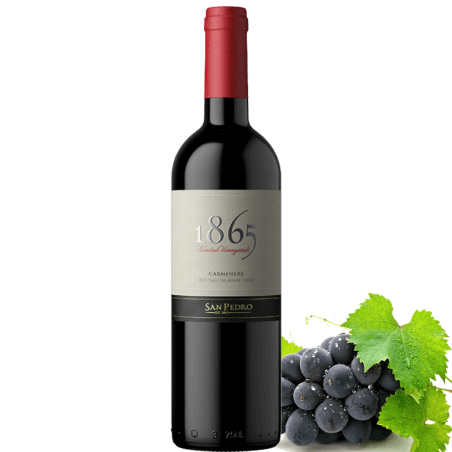 San Pedro 1865 Carmenere