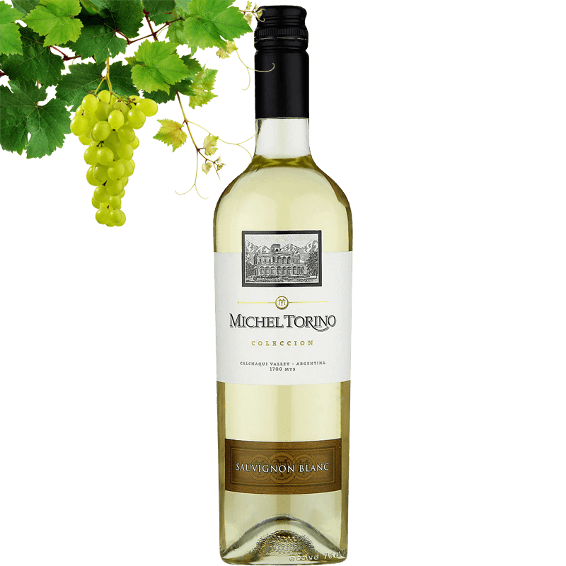 Michel torino Coleccion Sauvignon Blanc