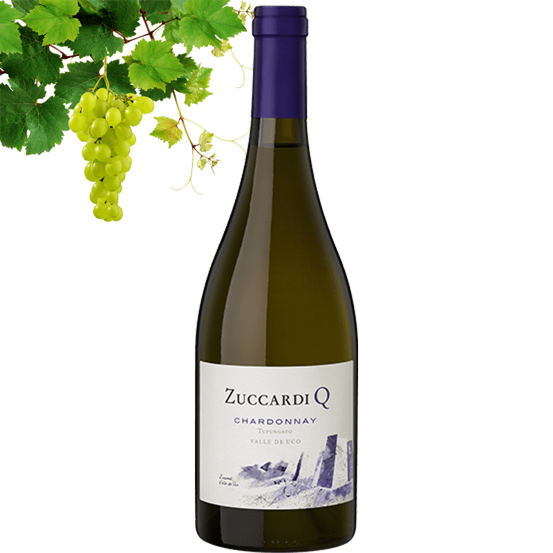 Zuccardi Q Chardonnay