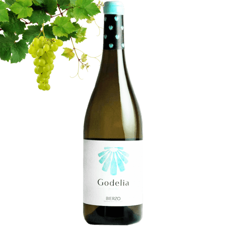 Godelia Godello D.O Bierzo