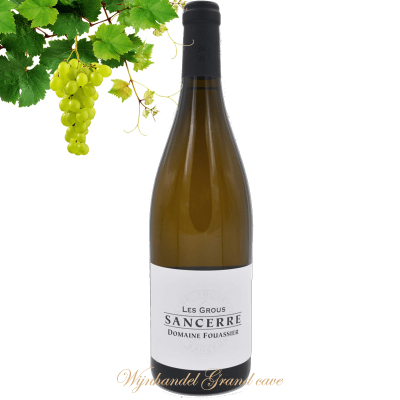 Domaine Fouassier Les Grous Sancerre Bio