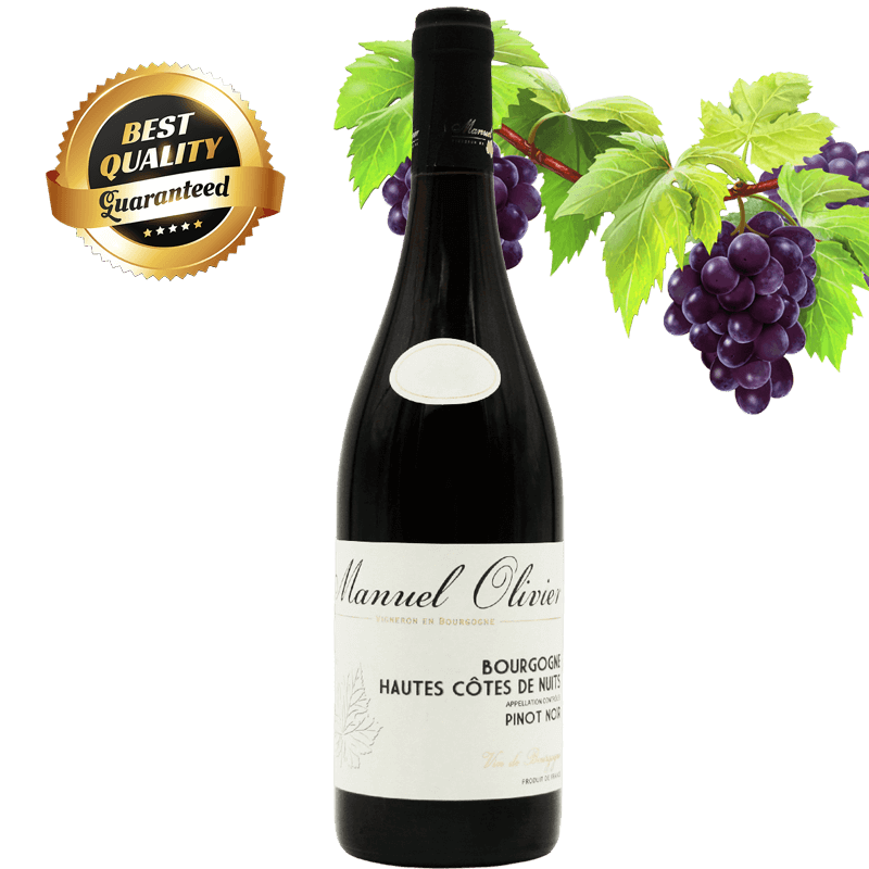 Domaine Manuel Olivier Hautes Côtes de Nuit Pinot Noir