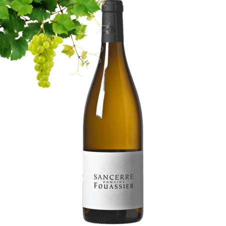 Domaine Fouassier Sancerre Bio