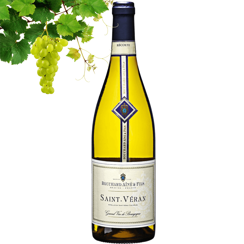 Bouchard Aine & Fils Saint Veran