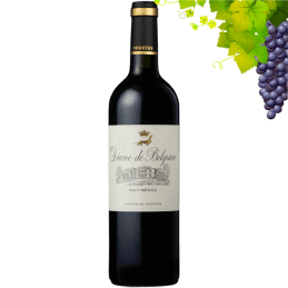 Diane de Belgrave Haut Medoc