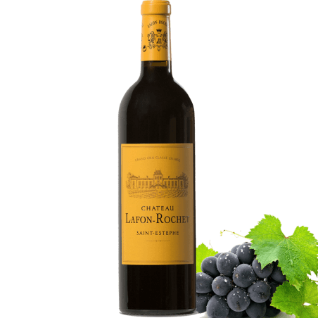 Chateau Lafon Rochet Saint Estephe