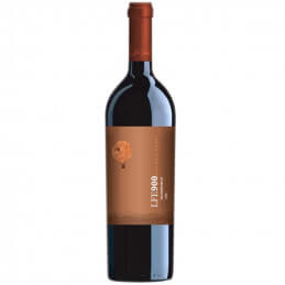 Luis Felipe Edwards 900 Malbec