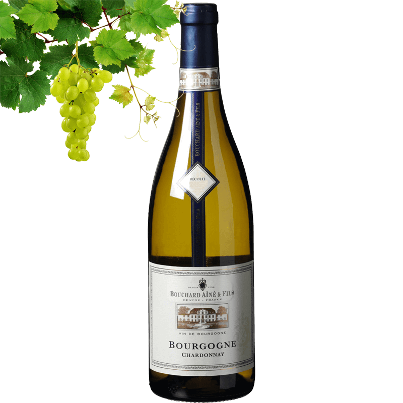 Bouchard Aine & Fils Bourgogne Chardonnay