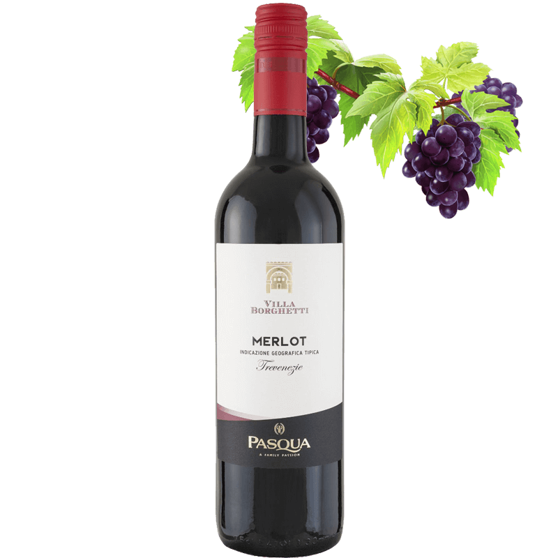 Pasqua Villa Borghetti Merlot