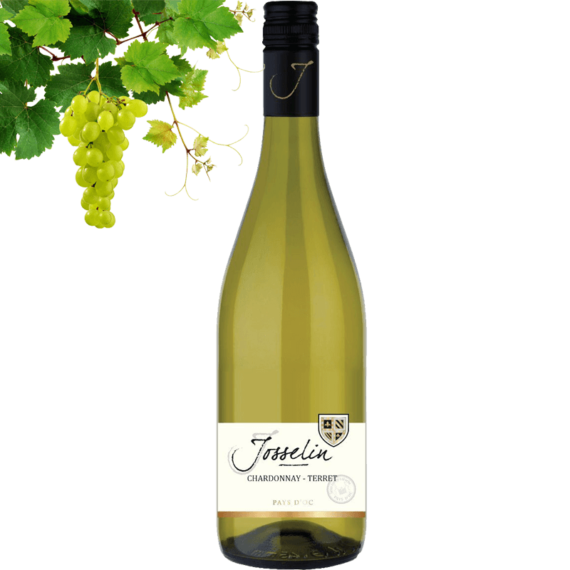 Josselin Chardonnay Terret