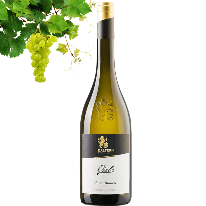 Kellerei Kaltern Selection Vial Pinot Bianco