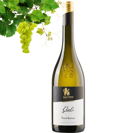 Kellerei Kaltern Selection Vial Pinot Bianco