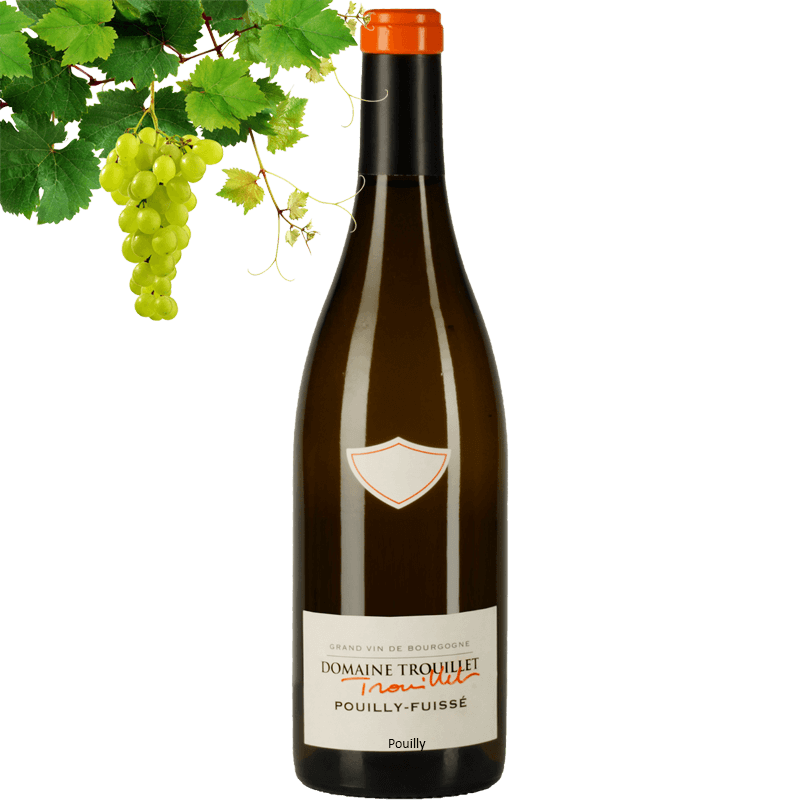 Domaine Trouillet Pouilly Fuisse