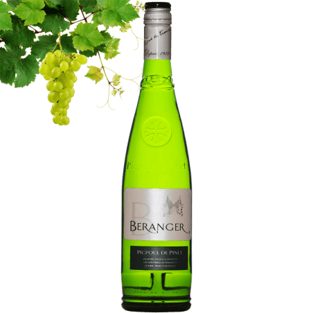 Beranger Picpoul de Pinet