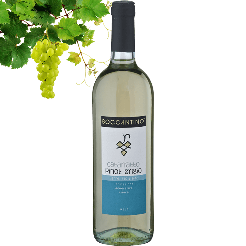 Boccantino Catarratto & Pinot Grigio IGT Terre Siciliane