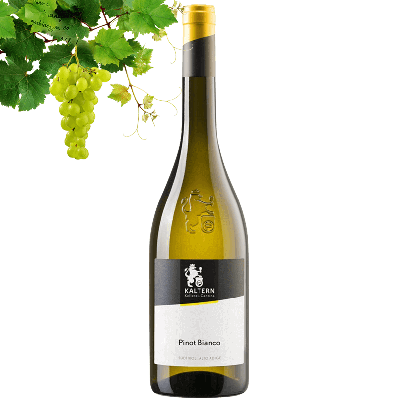 Kellerei Kaltern Classic Pinot Bianco