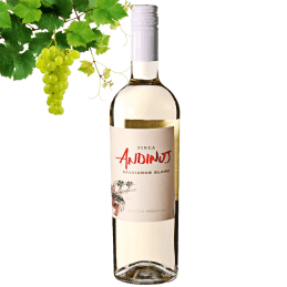 Zuccardi Finca Andinos Sauvignon Blanc