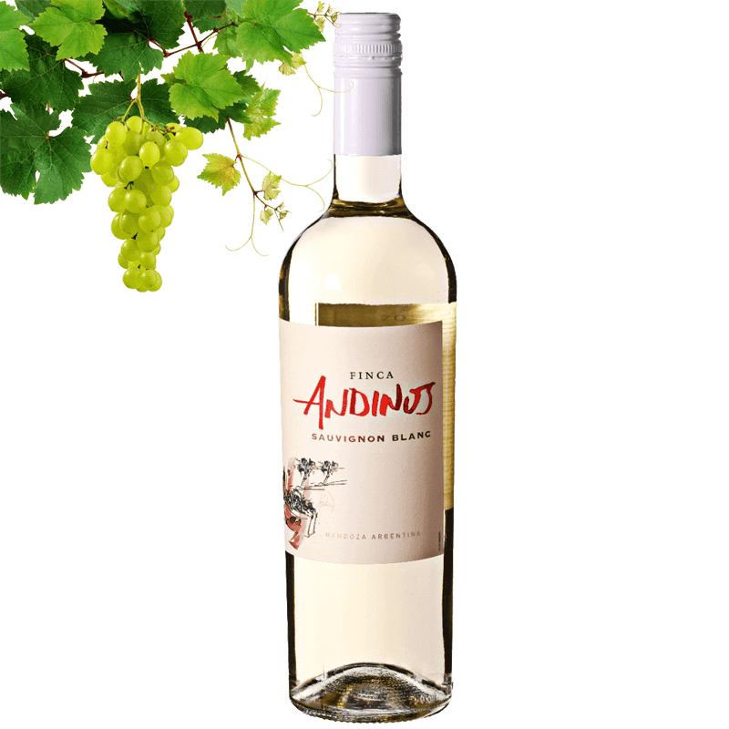 Zuccardi Finca Andinos Sauvignon Blanc