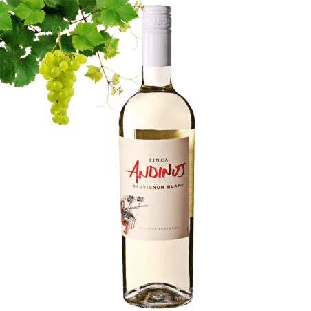 Zuccardi Finca Andinos Sauvignon Blanc