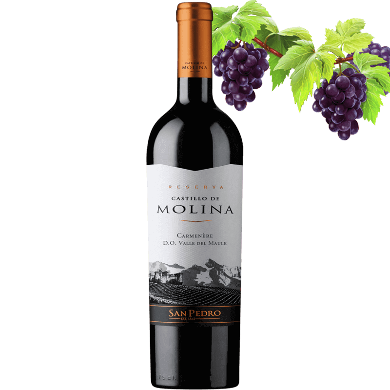 Castillo de Molina Carmenere Grand Reserva