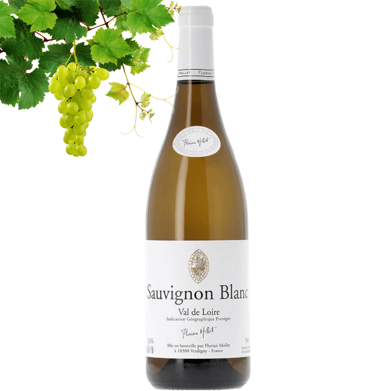 Roc de l'Abbaye Sauvignon Blanc