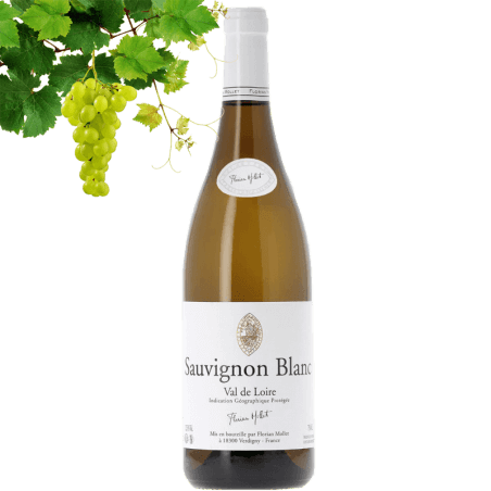 Roc de l'Abbaye Sauvignon Blanc