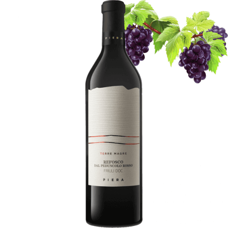 Piera 1899 Terre Magre Refosco Dal Peduncolo Rosso