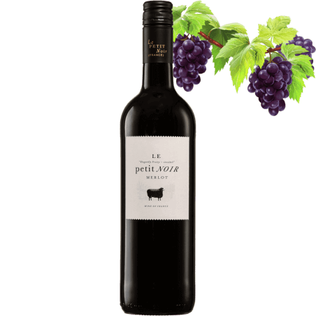 Le Petit Noir Merlot