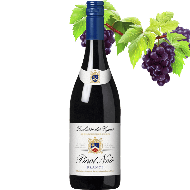 Duchesse Des Vignes Pinot Noir