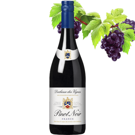 Duchesse Des Vignes Pinot Noir