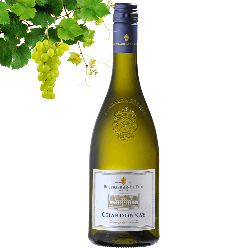 Bouchard Aine & Fils Chardonnay