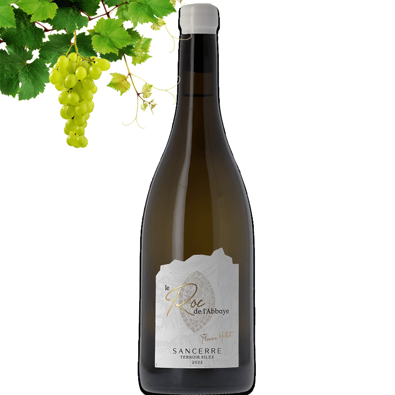 Roc de l Abbaye Sancerre Terroir Silex