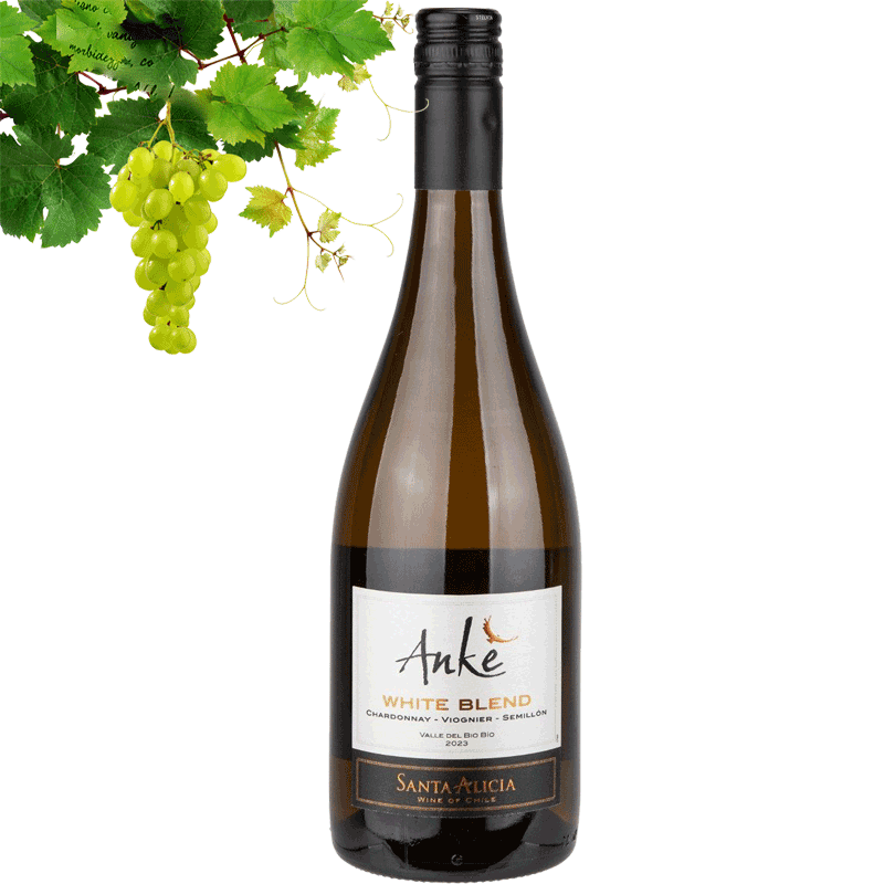 Santa Alicia Anke White Blend